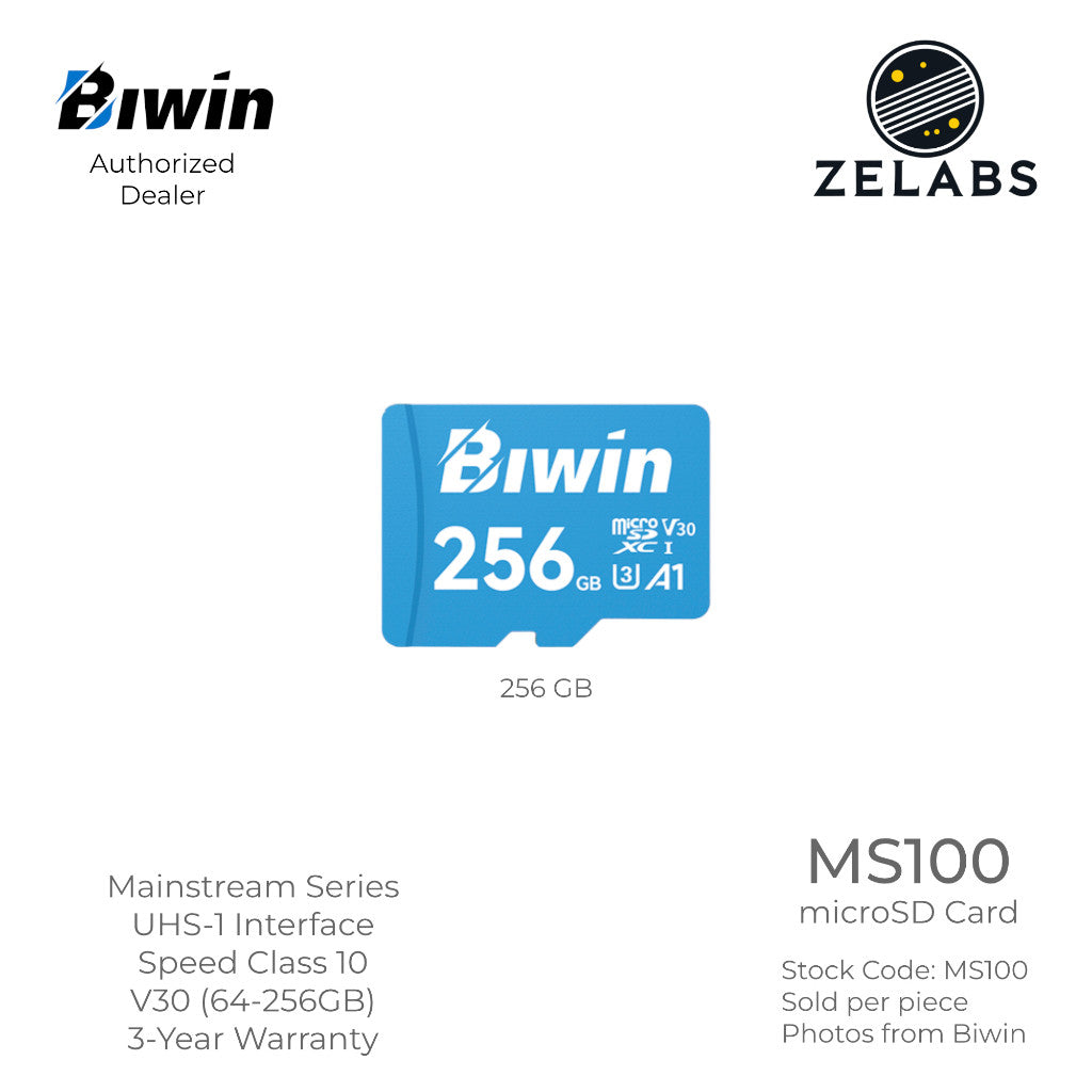 Biwin MS100 microSD Card - UHS-I | C10 | U3 | V30 | A1 - 64GB | 128 GB | 256 GB