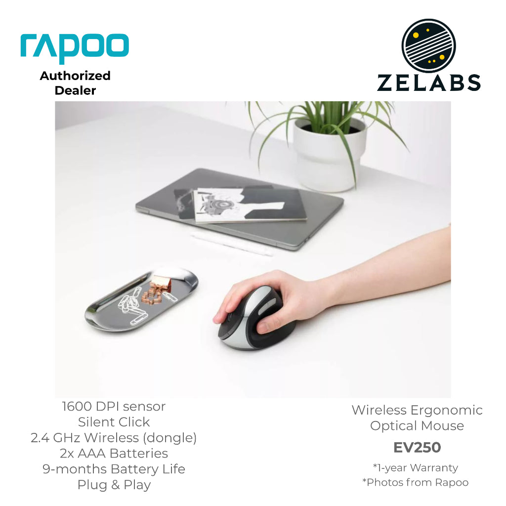 Rapoo EV250 2.4 GHz Wireless Ergonomic Vertical Mouse - Adjustable DPI - Plug & Play